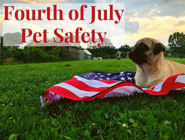 Fourth of July Pet Safety