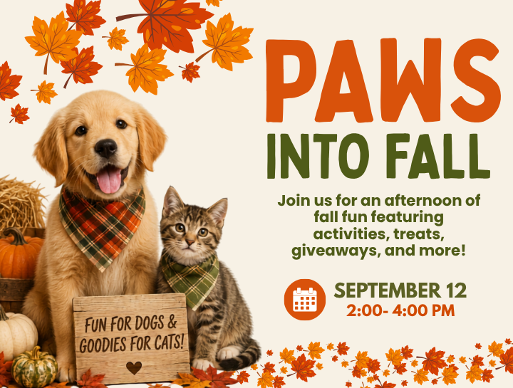 Join us for Paws Into Fall at Village Veterinary Hospital!